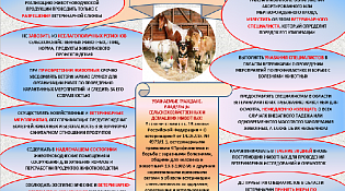 Памятки владельцам домашних животных